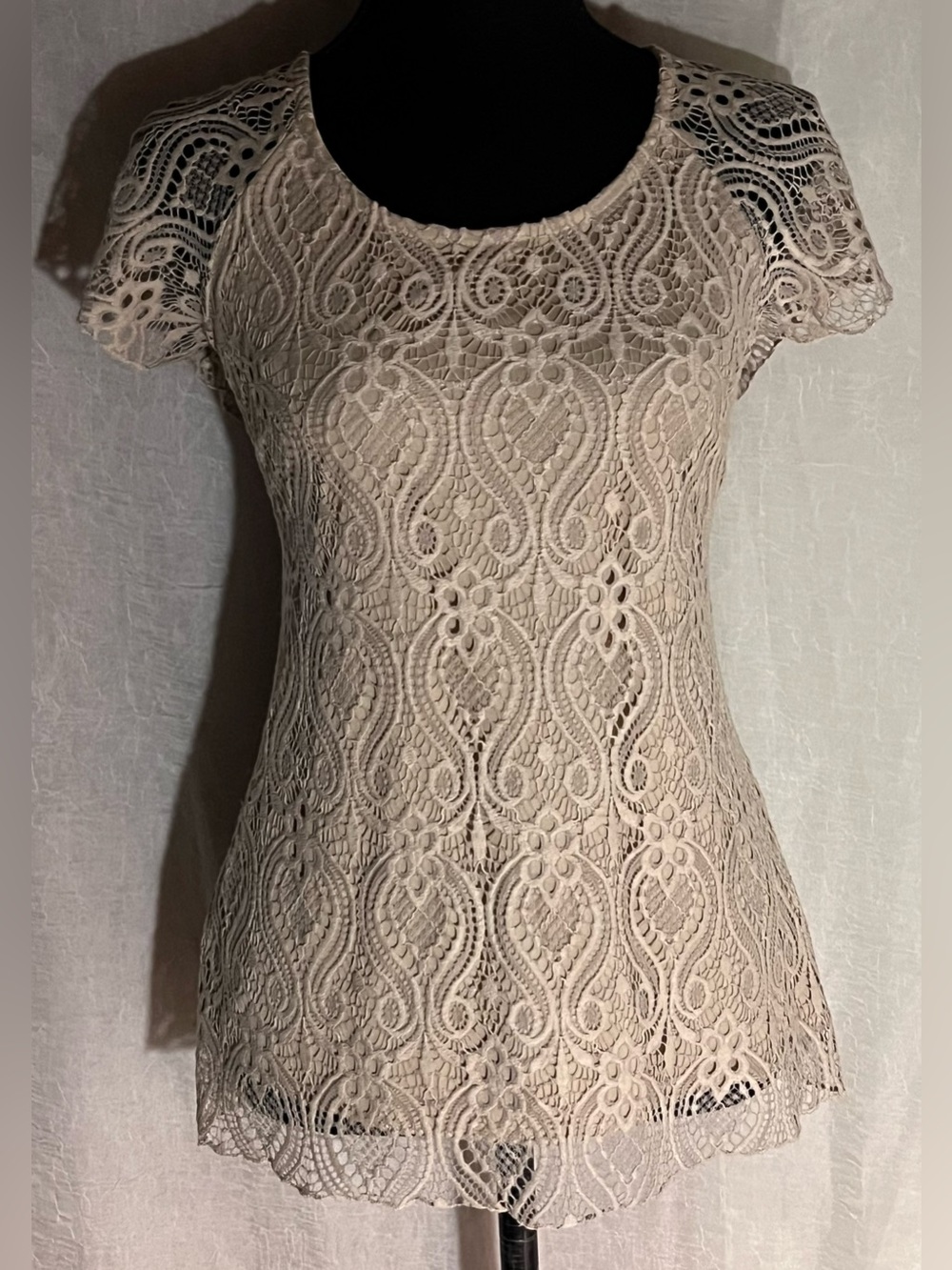 Brittany Black Cream Lace Short Sleeve Blouse